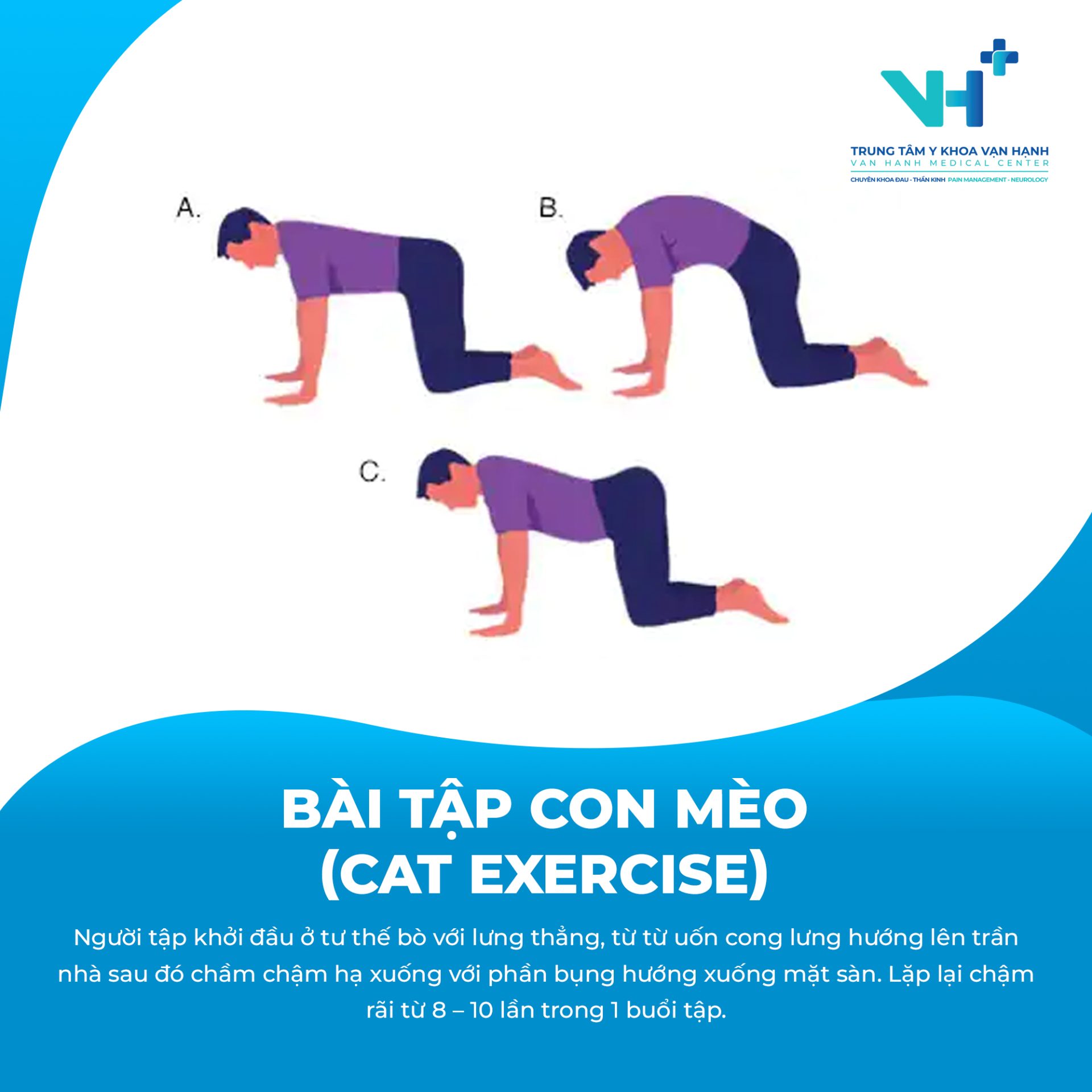 các bài tập vận động cơ bản cho lưng
