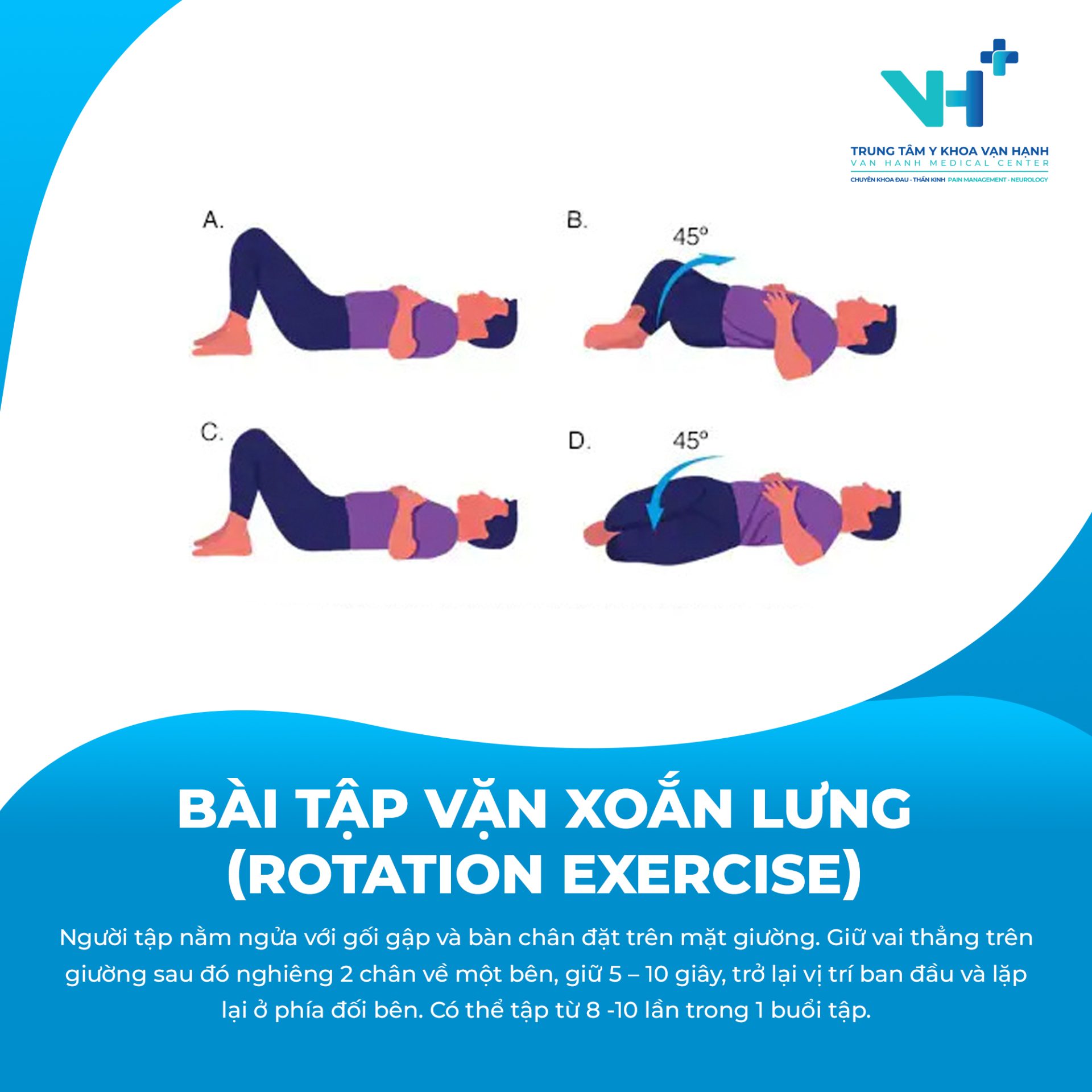 các bài tập vận động cơ bản cho lưng