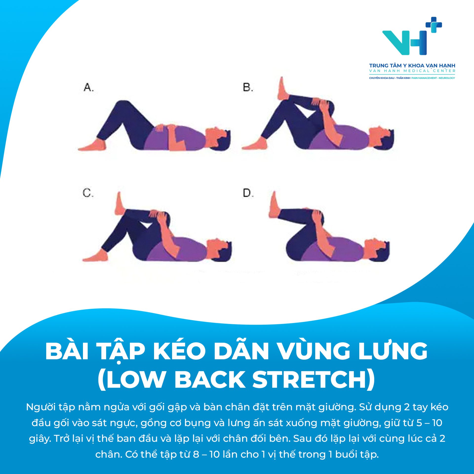 các bài tập vận động cơ bản cho lưng